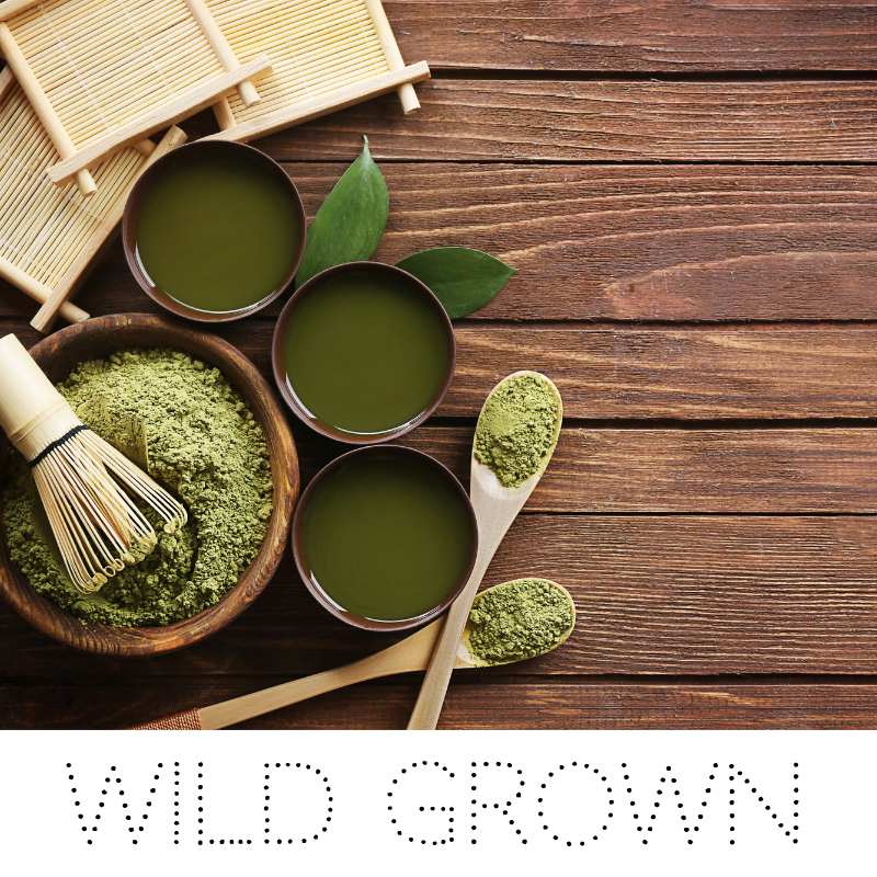 Wild Grown Collection - Secrets of Great Skin